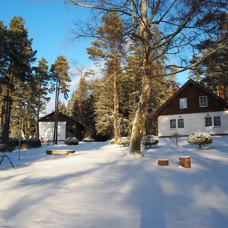 Lojzovy Paseky Hotell Frymburk Exteriör bild