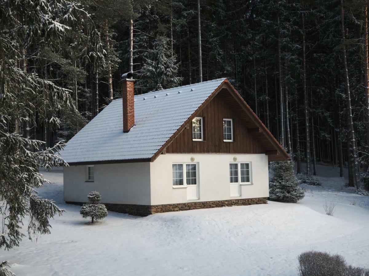 Lojzovy Paseky Hotell Frymburk Exteriör bild