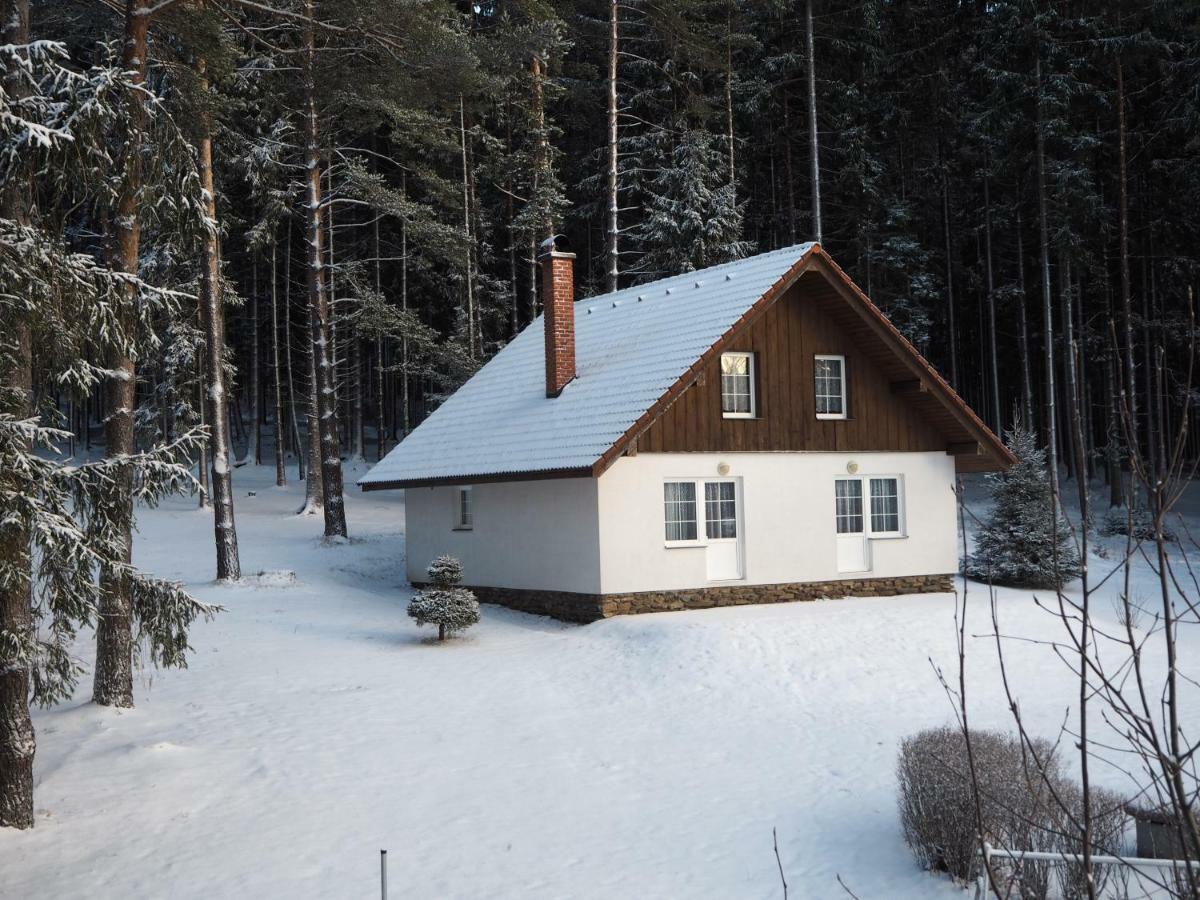 Lojzovy Paseky Hotell Frymburk Exteriör bild