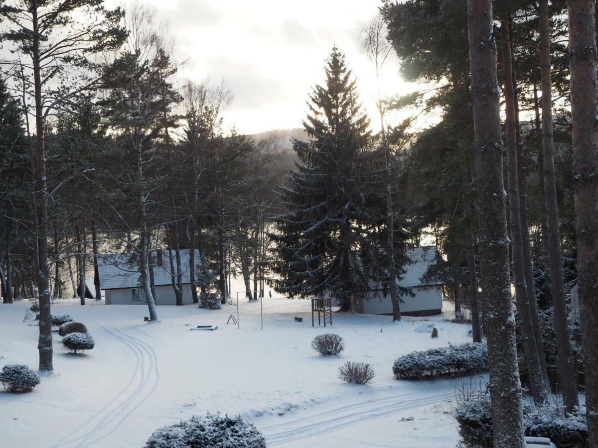 Lojzovy Paseky Hotell Frymburk Exteriör bild